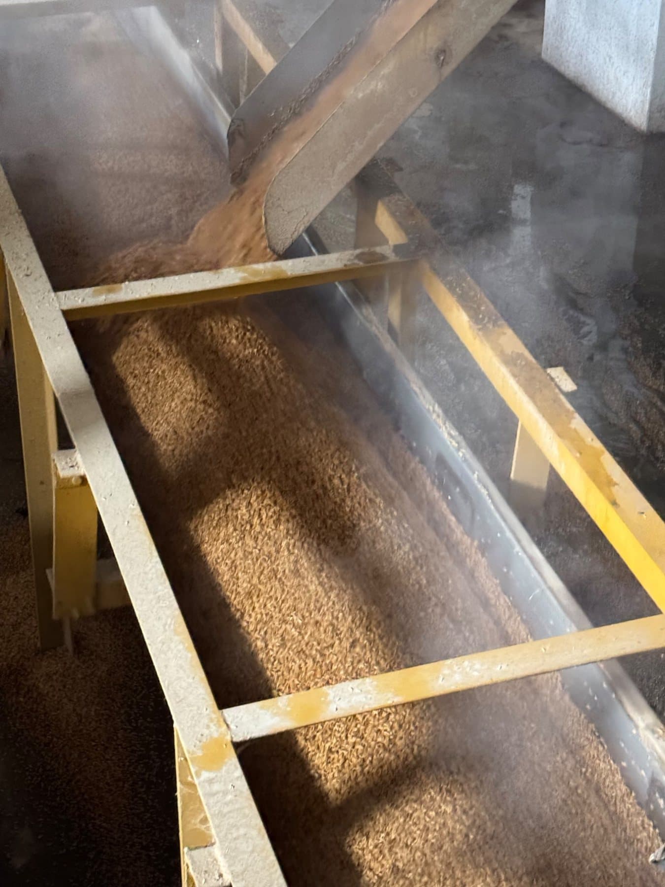 Grain on the shaker