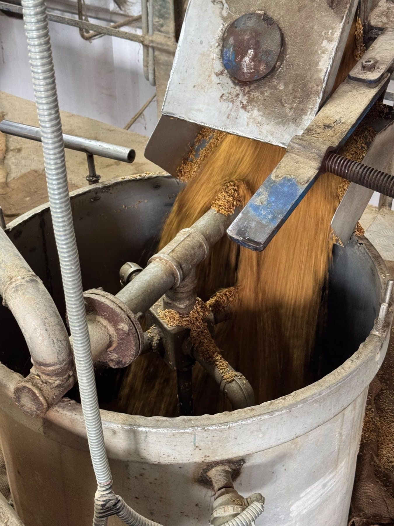 Paddy into the soaking vessel
